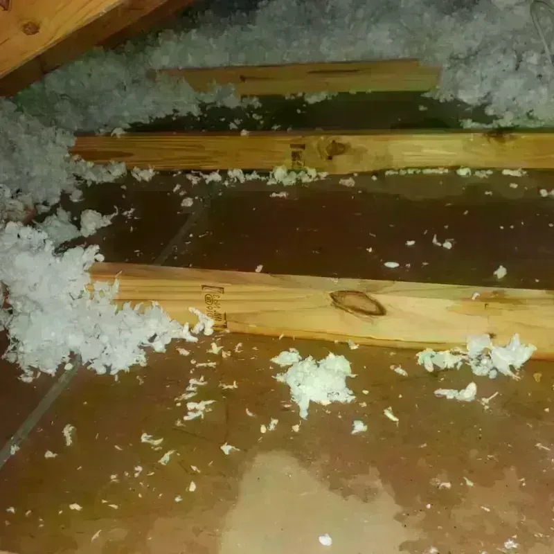 Attic Water Damage in Coxsackie, NY